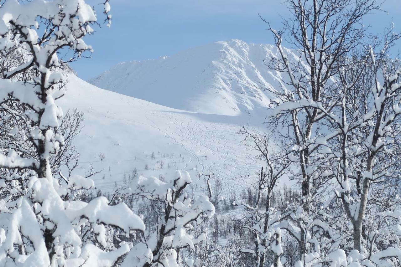 Magic Mountain Lodge - Lyngen Lyngseidet Dış mekan fotoğraf